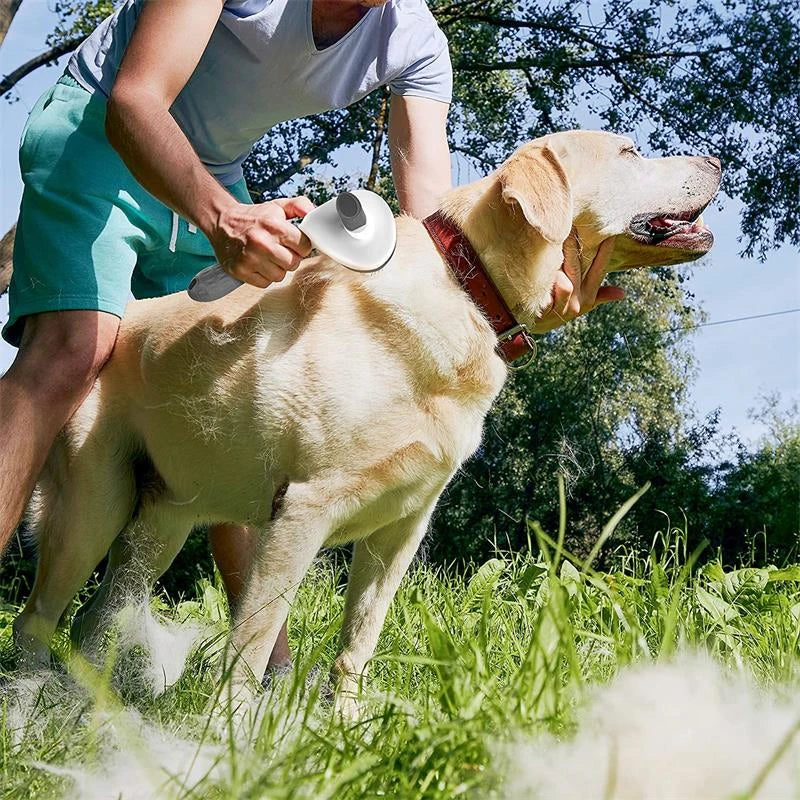 easy use brush to make your pets feel excellent