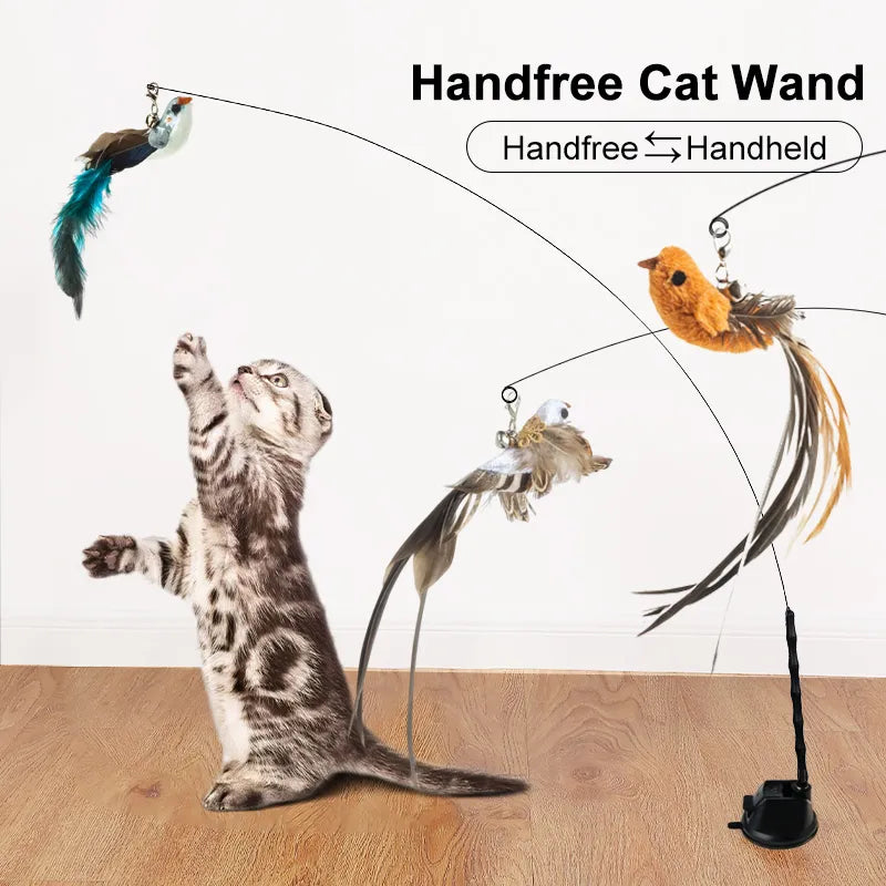 Hand free cat toy for exercise easy access and make